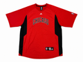 Adidas Chicago Bulls NBA Shooting Shirt Warm Up Jersey Vintage L